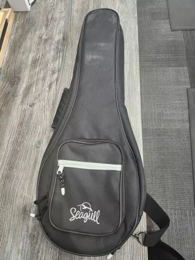 Godin - C41527